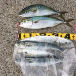 家族サービスの後に