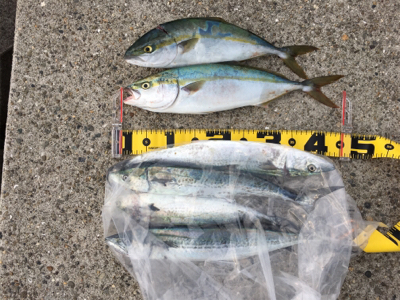 家族サービスの後に