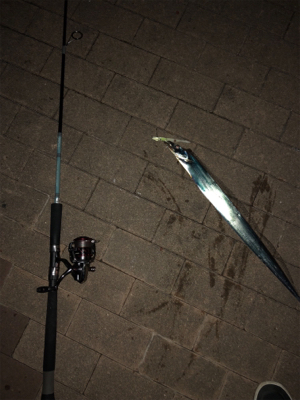 大潮はあかんかも