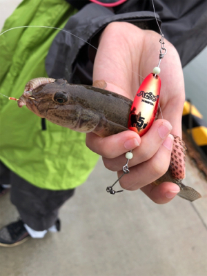 ハゼ釣りリベンジ