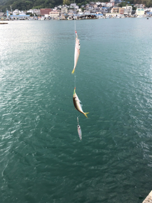 岩屋一文字ミラクル発生！？