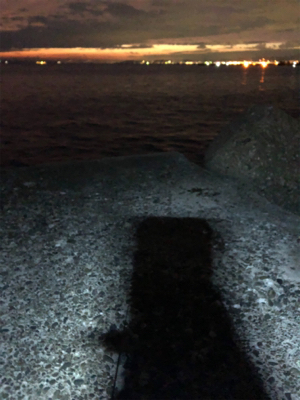 太刀魚を経てアジング