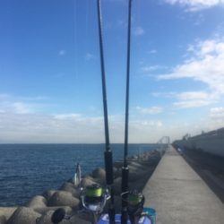 月が綺麗、タチウオは‥