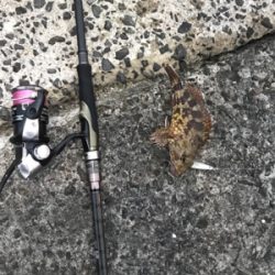 ショアジギングにてまさかの平らいやつ