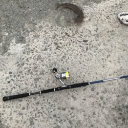 早朝ショアジギングで奇跡が