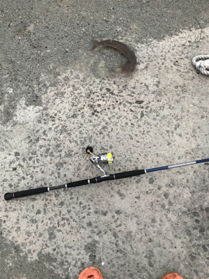 早朝ショアジギングで奇跡が