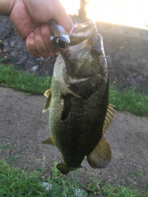 オータムトップ