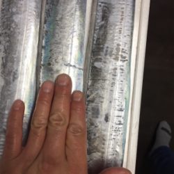 引き釣り短時間爆釣