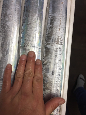 引き釣り短時間爆釣