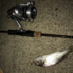 暇つぶしのライトゲーム