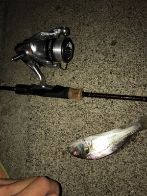 暇つぶしのライトゲーム