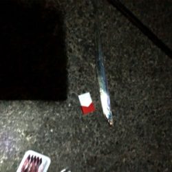 一年ぶりの食品コンビナート