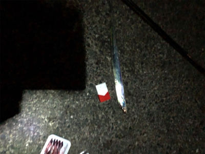 一年ぶりの食品コンビナート