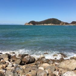 風と波で濁りが…