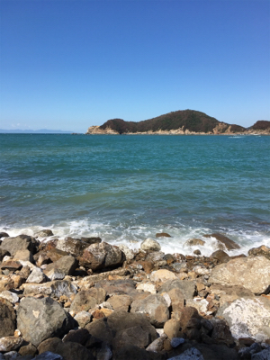 風と波で濁りが…