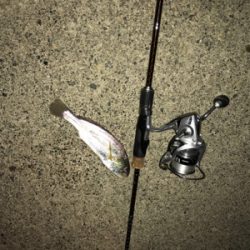 またまたライトゲーム