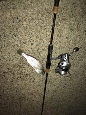 またまたライトゲーム