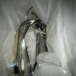 台風前に、行っとこ!