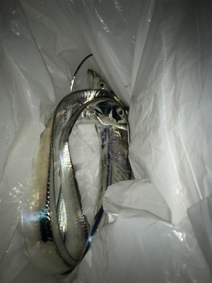 台風前に、行っとこ!