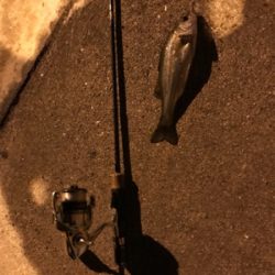 またまた暇つぶしライトゲーム