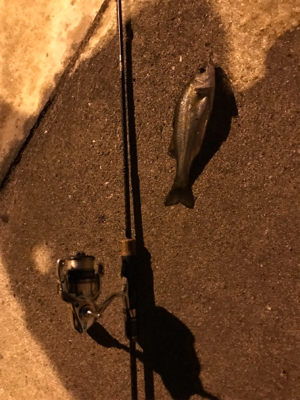 またまた暇つぶしライトゲーム