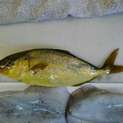 もう少し早かった