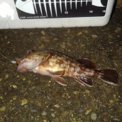 輪ゴムでポン‼️