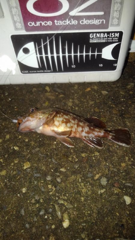 輪ゴムでポン‼️