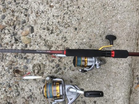 やっぱダイワじゃないとね〜