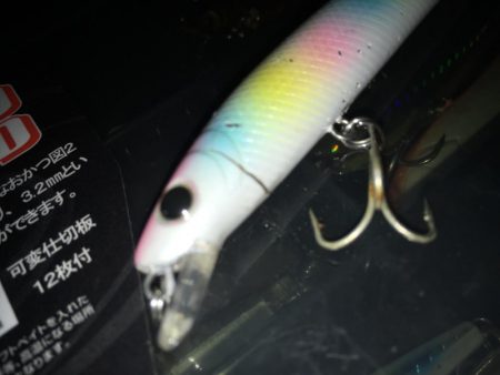 塚本橋下シーバスゲーム