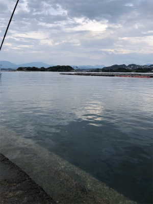 結果オーライ!楽しい現調となりました