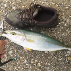 今日も釣れて嬉しい！