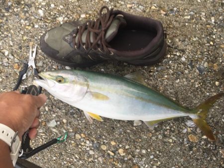 今日も釣れて嬉しい！