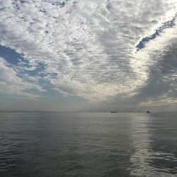 激渋の中、貴重な一本