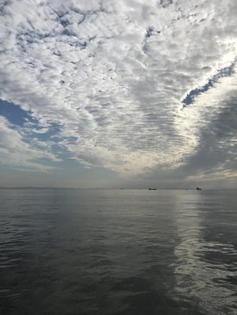 激渋の中、貴重な一本