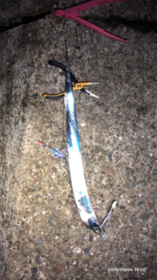 台風一過タチウオ