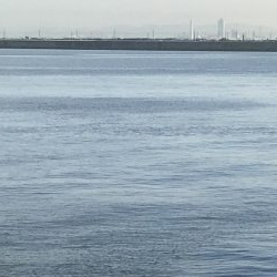 3週連続タチウオ遠征