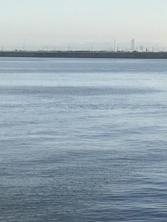 3週連続タチウオ遠征