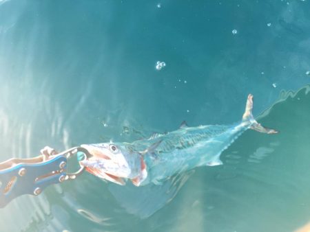 朝短時間フィッシング