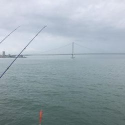 初大蔵海岸良い場所でした