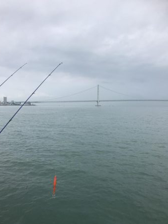 初大蔵海岸良い場所でした