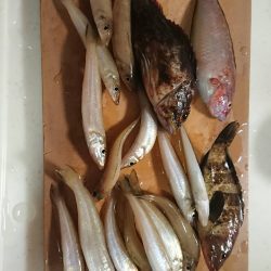 栗田海岸で投げ釣り