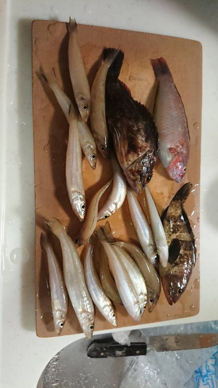 栗田海岸で投げ釣り