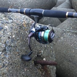 風が強かったです。