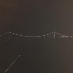 イカはいないが、君たちか。