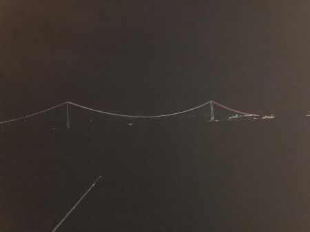 イカはいないが、君たちか。