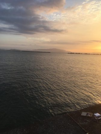 粟津導流堤でサゴシ