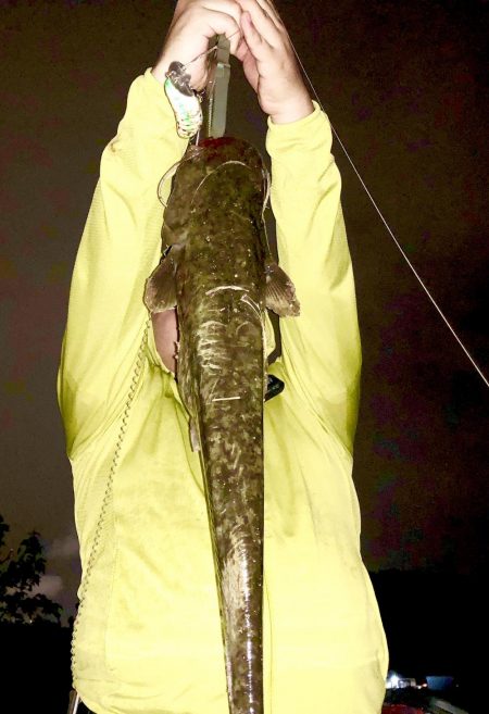 台風が過ぎたのでナマズ釣り！