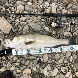 久しぶりの投稿