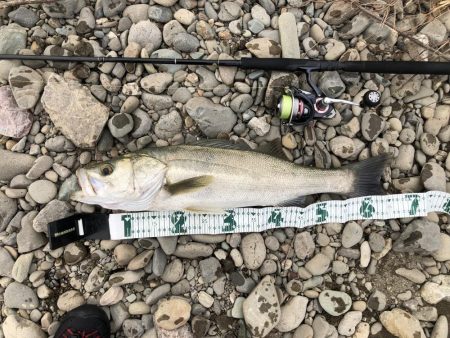 久しぶりの投稿